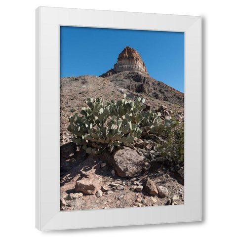 Prickly Pear Cactus and scenery in Big Bend National Park, TX White Modern Wood Framed Art Print by Highmith, Carol