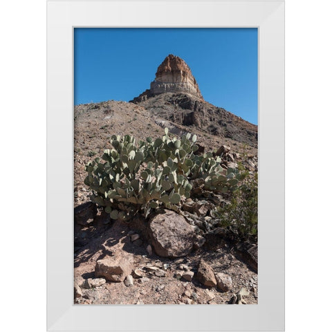 Prickly Pear Cactus and scenery in Big Bend National Park, TX White Modern Wood Framed Art Print by Highmith, Carol