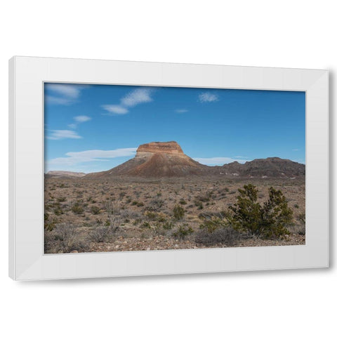 Scenery in Big Bend National Park, TX White Modern Wood Framed Art Print by Highmith, Carol