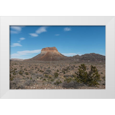 Scenery in Big Bend National Park, TX White Modern Wood Framed Art Print by Highmith, Carol
