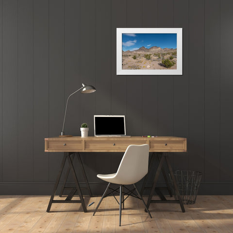 Scenery in Big Bend National Park, TX White Modern Wood Framed Art Print by Highmith, Carol