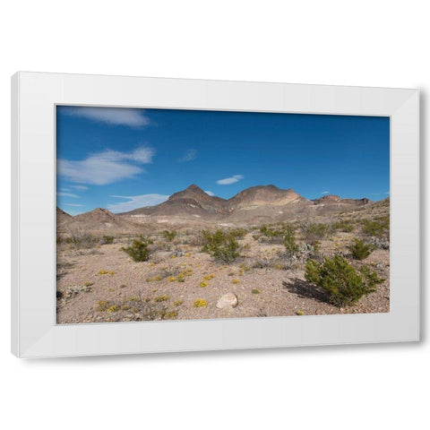 Scenery in Big Bend National Park, TX White Modern Wood Framed Art Print by Highmith, Carol