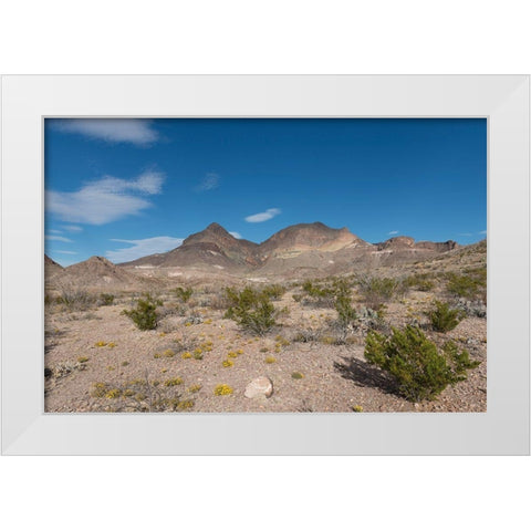 Scenery in Big Bend National Park, TX White Modern Wood Framed Art Print by Highmith, Carol