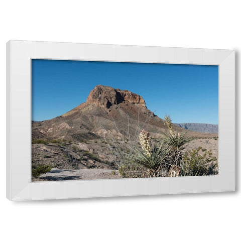 Scene from Big Bend National Park in Brewster County, TX White Modern Wood Framed Art Print by Highmith, Carol