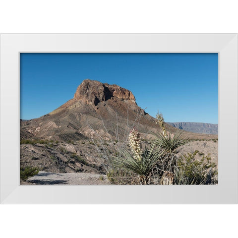 Scene from Big Bend National Park in Brewster County, TX White Modern Wood Framed Art Print by Highmith, Carol