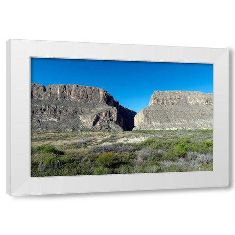 Scene from Big Bend National Park in Brewster County, TX White Modern Wood Framed Art Print by Highmith, Carol