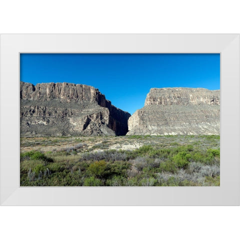 Scene from Big Bend National Park in Brewster County, TX White Modern Wood Framed Art Print by Highmith, Carol