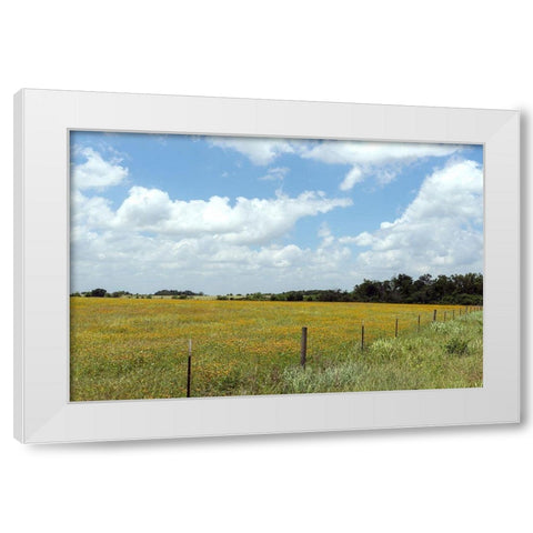 A field of wildflowers near Chappel Hill in Austin County, TX, 2014 White Modern Wood Framed Art Print by Highmith, Carol