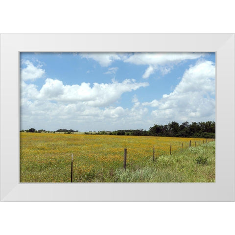 A field of wildflowers near Chappel Hill in Austin County, TX, 2014 White Modern Wood Framed Art Print by Highmith, Carol