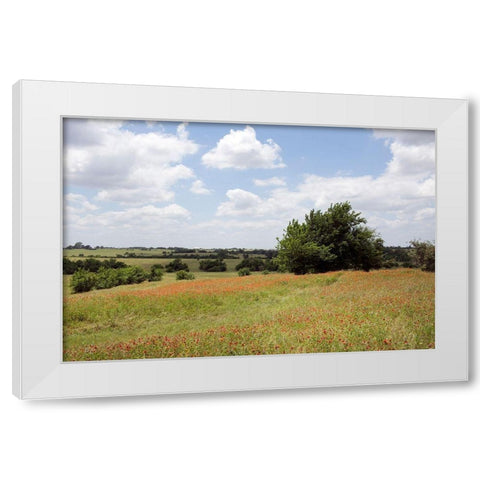 A field of wildflowers near Chappel Hill in Austin County, TX, 2014 White Modern Wood Framed Art Print by Highmith, Carol