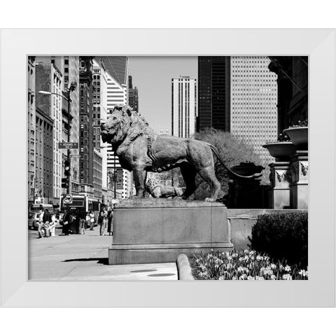 Edward Kemeys guardian lions stand before the Art Institute of Chicago Illinois White Modern Wood Framed Art Print by Highsmith, Carol