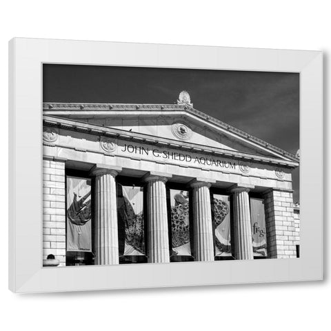 Shedd Aquarium Chicago Illinois White Modern Wood Framed Art Print by Highsmith, Carol