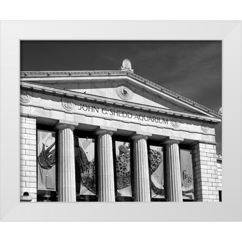 Shedd Aquarium Chicago Illinois White Modern Wood Framed Art Print by Highsmith, Carol
