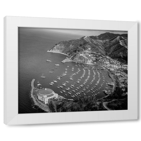 Santa Catalina Island California White Modern Wood Framed Art Print by Highsmith, Carol