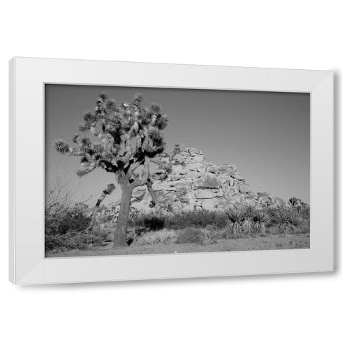 Joshua Tree National Park California White Modern Wood Framed Art Print by Highsmith, Carol