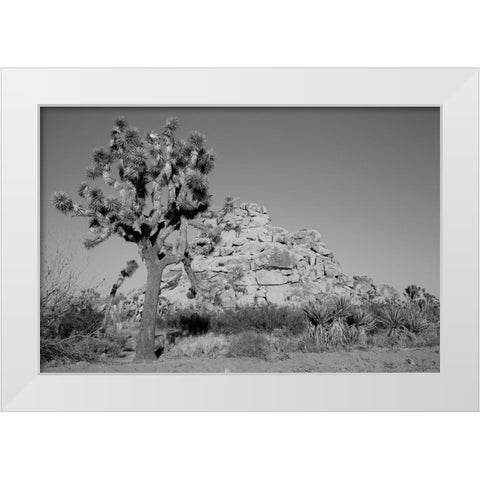 Joshua Tree National Park California White Modern Wood Framed Art Print by Highsmith, Carol