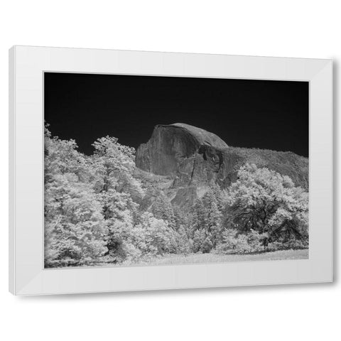 Half Dome in Yosemite National Park California White Modern Wood Framed Art Print by Highsmith, Carol