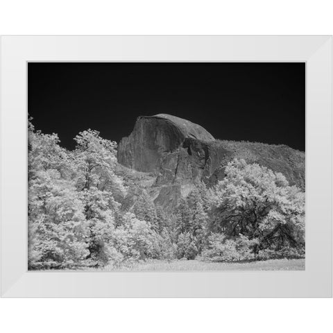Half Dome in Yosemite National Park California White Modern Wood Framed Art Print by Highsmith, Carol