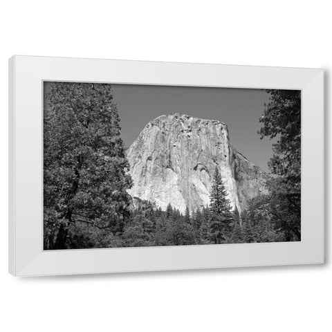 El Capitan in Yosemite National Park California White Modern Wood Framed Art Print by Highsmith, Carol