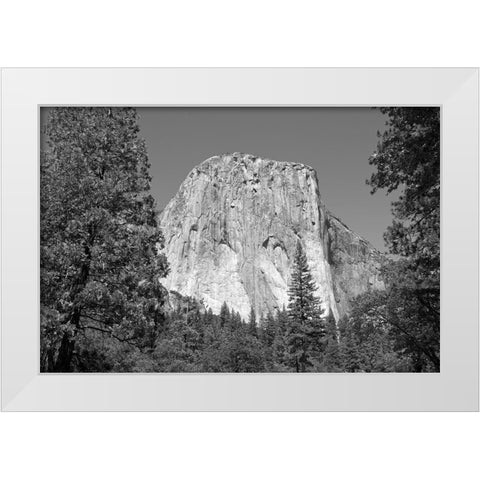 El Capitan in Yosemite National Park California White Modern Wood Framed Art Print by Highsmith, Carol