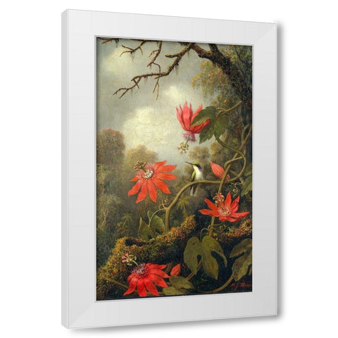 Hummingbird and Passionflowers White Modern Wood Framed Art Print by Heade, Martin Johnson