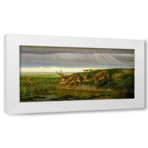 Deer on the Prairie White Modern Wood Framed Art Print by Beard, William Holbrook