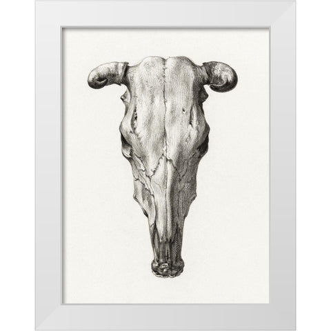 Skull of a cow White Modern Wood Framed Art Print by Bernard, Jean