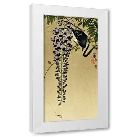 Flycatcher at wisteria White Modern Wood Framed Art Print by Koson, Ohara