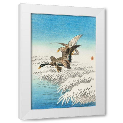 Pair of ducks flying over snowy reed collar White Modern Wood Framed Art Print by Koson, Ohara