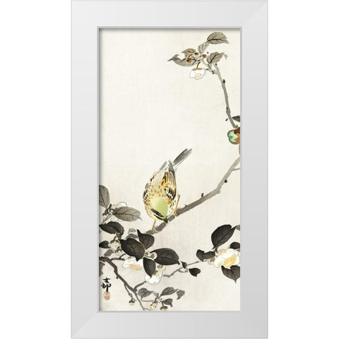Bunting on blossom branch White Modern Wood Framed Art Print by Koson, Ohara