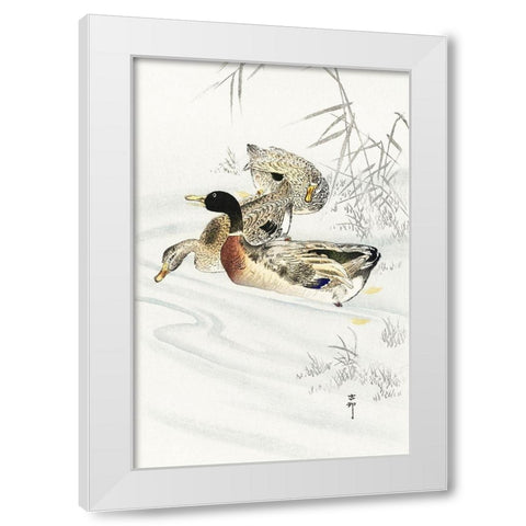 Three ducks in shallow water with reeds White Modern Wood Framed Art Print by Koson, Ohara
