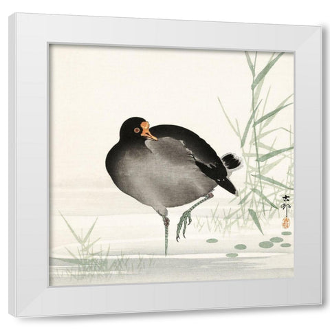 Moorhen White Modern Wood Framed Art Print by Koson, Ohara