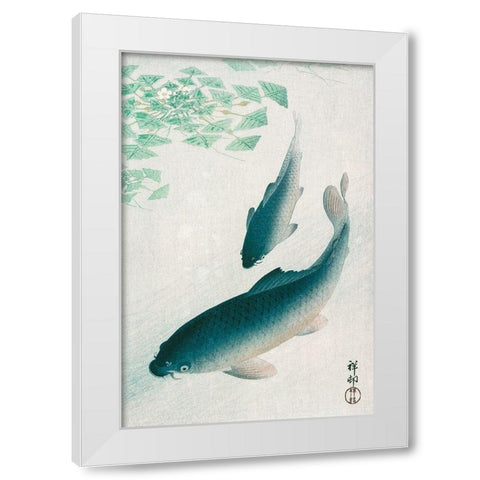 Carp or Koi White Modern Wood Framed Art Print by Koson, Ohara