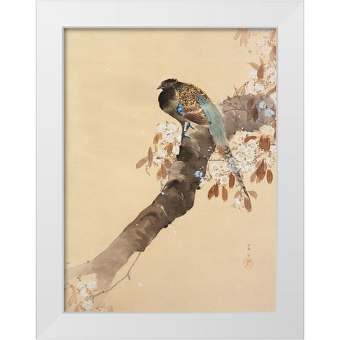 Pheasant on cherry blossom branch White Modern Wood Framed Art Print by Koson, Ohara