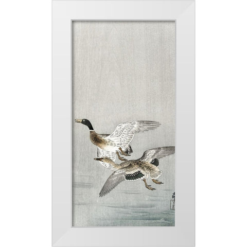 Couple of ducks White Modern Wood Framed Art Print by Koson, Ohara