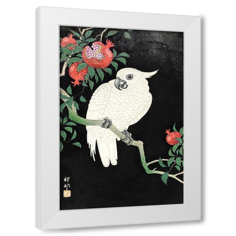 Cockatoo and Pomegranate White Modern Wood Framed Art Print by Koson, Ohara