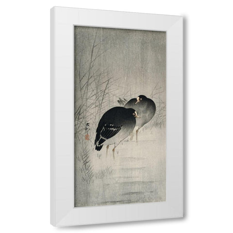 Moorhills between reeds White Modern Wood Framed Art Print by Koson, Ohara