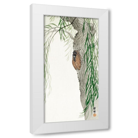 Cicada on tree White Modern Wood Framed Art Print by Koson, Ohara