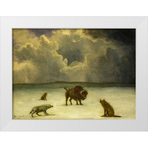 Trapped White Modern Wood Framed Art Print by Bierstadt, Albert