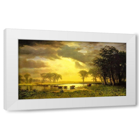 The Buffalo Trail White Modern Wood Framed Art Print by Bierstadt, Albert