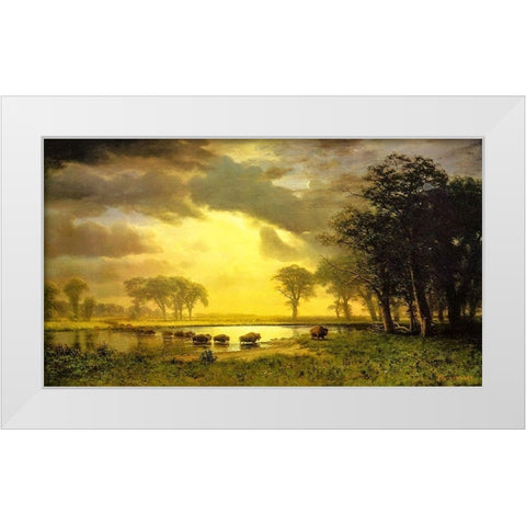 The Buffalo Trail White Modern Wood Framed Art Print by Bierstadt, Albert