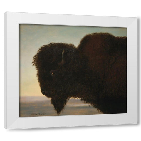 Buffalo Head White Modern Wood Framed Art Print by Bierstadt, Albert