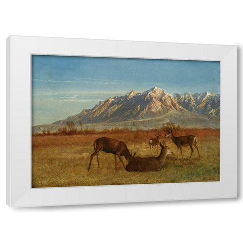 Deer in Mountain Home White Modern Wood Framed Art Print by Bierstadt, Albert