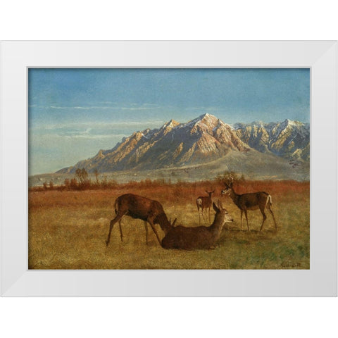 Deer in Mountain Home White Modern Wood Framed Art Print by Bierstadt, Albert
