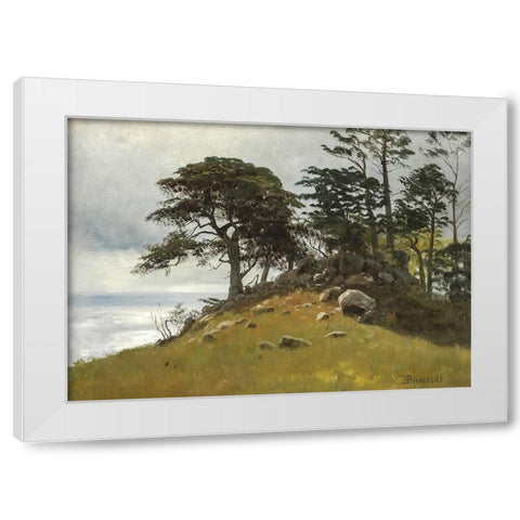 Cypress Point, Monterey White Modern Wood Framed Art Print by Bierstadt, Albert