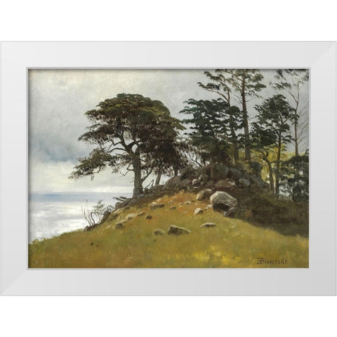 Cypress Point, Monterey White Modern Wood Framed Art Print by Bierstadt, Albert
