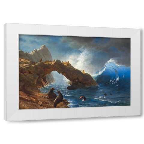 Seals on the Rocks White Modern Wood Framed Art Print by Bierstadt, Albert