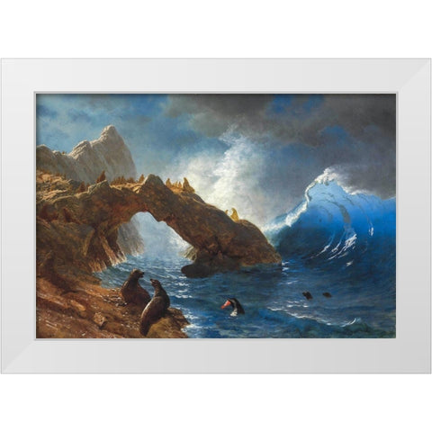 Seals on the Rocks White Modern Wood Framed Art Print by Bierstadt, Albert