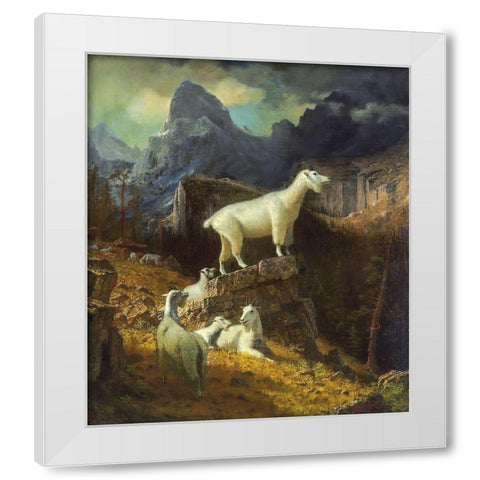 Rocky Mountain Goats White Modern Wood Framed Art Print by Bierstadt, Albert