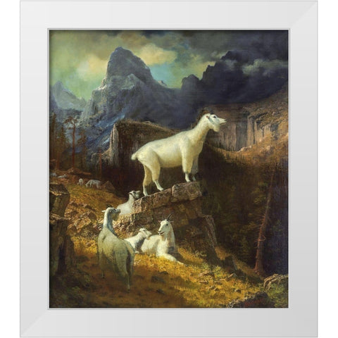 Rocky Mountain Goats White Modern Wood Framed Art Print by Bierstadt, Albert